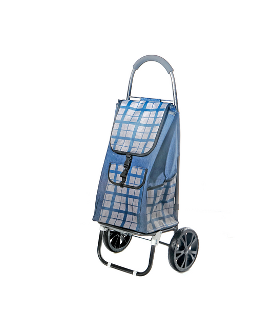 Shopping cart2