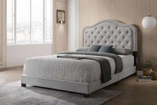 Queen Bedframe - Samantha
